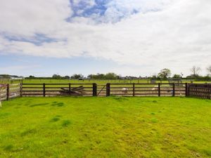 Paddock- click for photo gallery